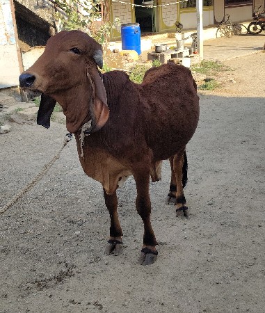 थंबनेल 2