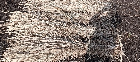 નિરણના પુરા વેચવાના છે