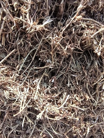 મગફળી નો ભૂકો વેચવાનો છે