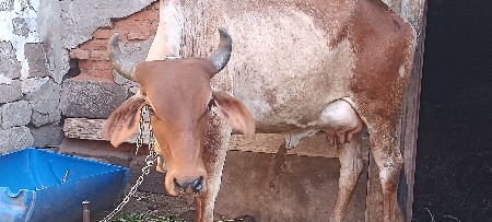 थंबनेल 2