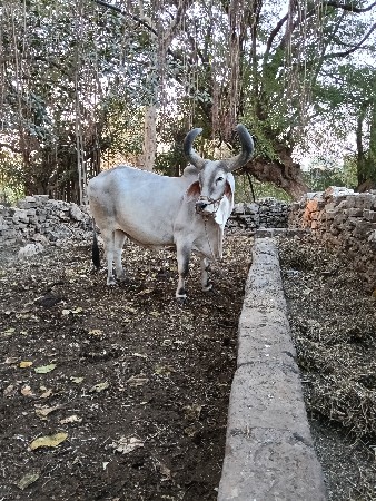 थंबनेल 2