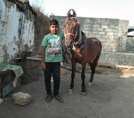 थंबनेल 3