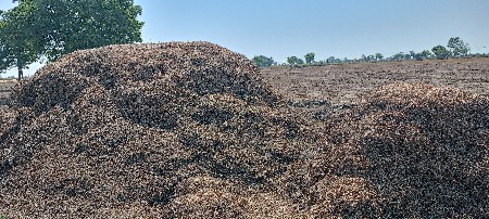 12 વીધા નો ભૂકો  છે