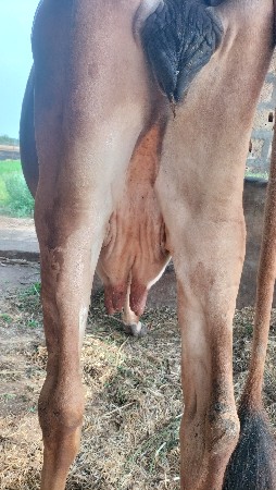 थंबनेल 2