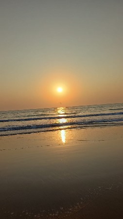 2 no bambo veshvano se