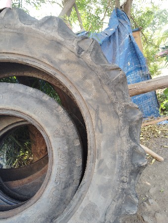 થંબનેલ 6