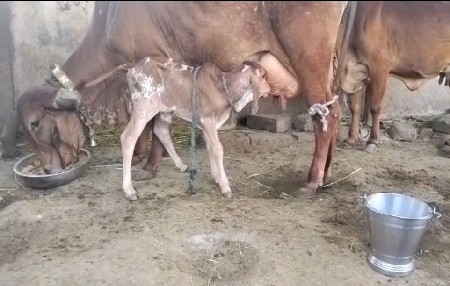 थंबनेल 3