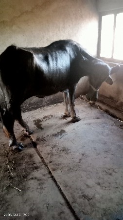 थंबनेल 2