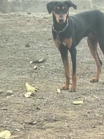 થંબનેલ 2