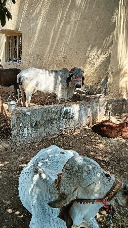 थंबनेल 3