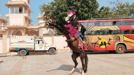 थंबनेल 2