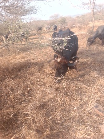 થંબનેલ 3