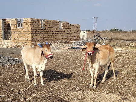 थंबनेल 3