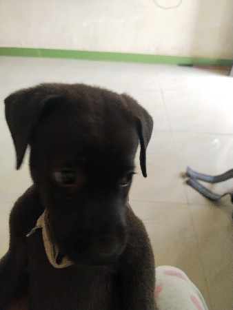 919913692344
kutru vechvanu che