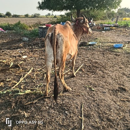 थंबनेल 2