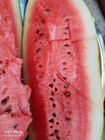 થંબનેલ 2