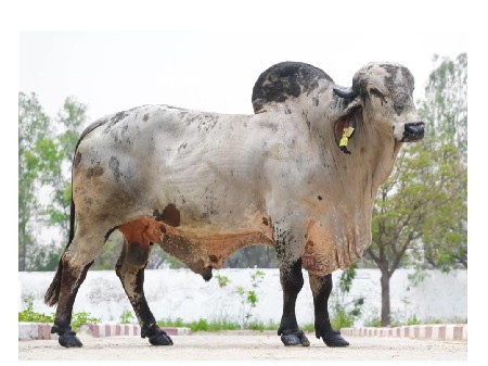 थंबनेल 3