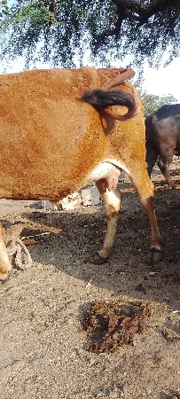 थंबनेल 3