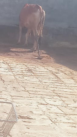 थंबनेल 3