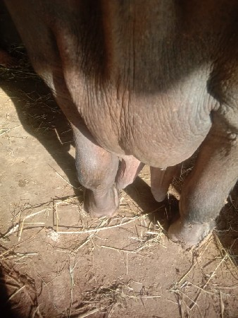 थंबनेल 3