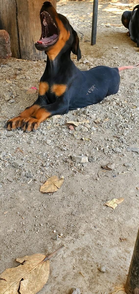 थंबनेल 2