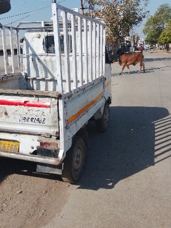 મદનીયું વેચવાનું છે