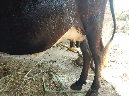 थंबनेल 2