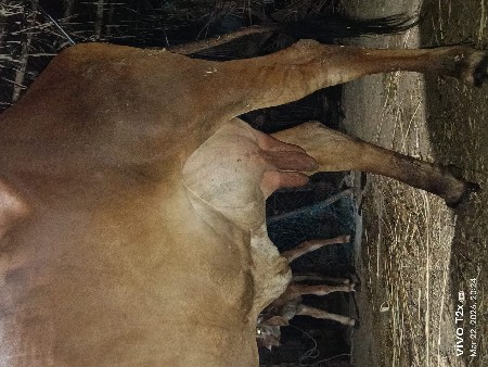 થંબનેલ 3