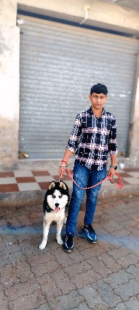 saybariyan haski apva nu che