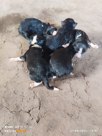 થંબનેલ 3