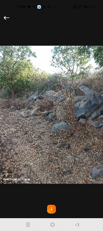 થંબનેલ 3