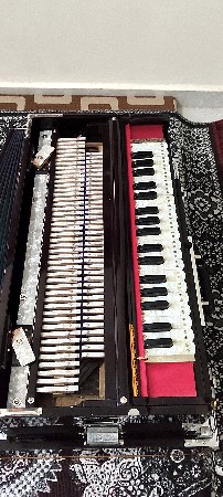 થંબનેલ 3