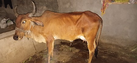 थंबनेल 3