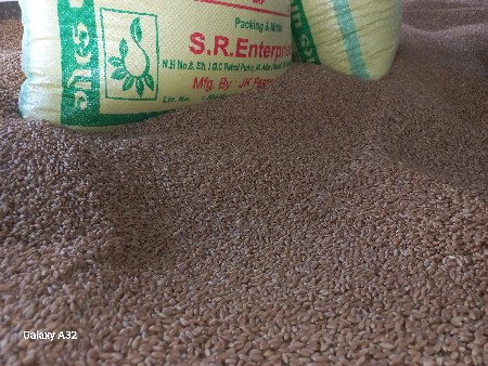 ધવ વસવા  ના  છે