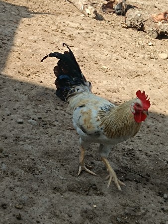 થંબનેલ 2