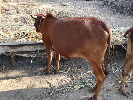 थंबनेल 5