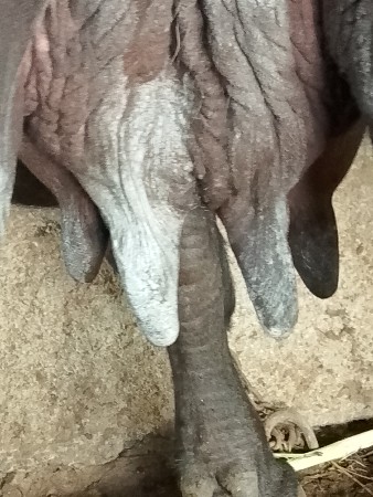 થંબનેલ 3