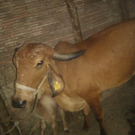 थंबनेल 2