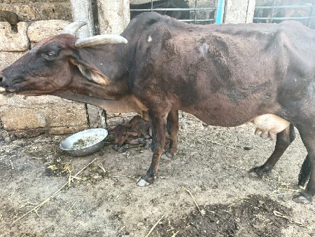 થંબનેલ 2