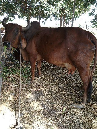 થંબનેલ 2