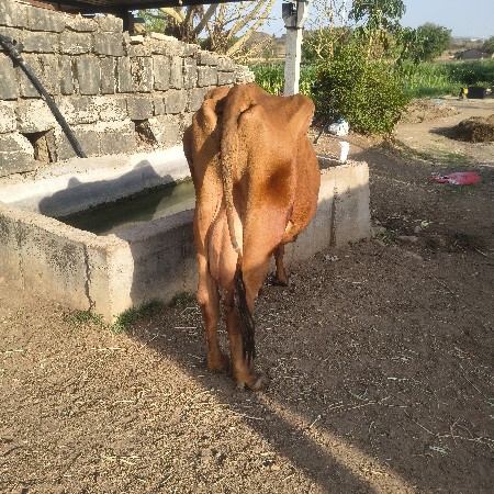 थंबनेल 2