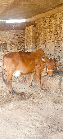 थंबनेल 3