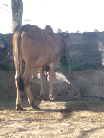 થંબનેલ 3