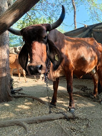 थंबनेल 2