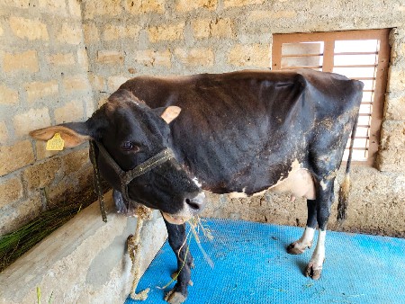 थंबनेल 3