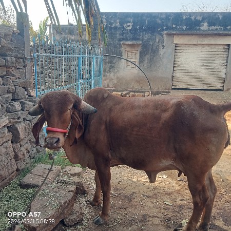 थंबनेल 2