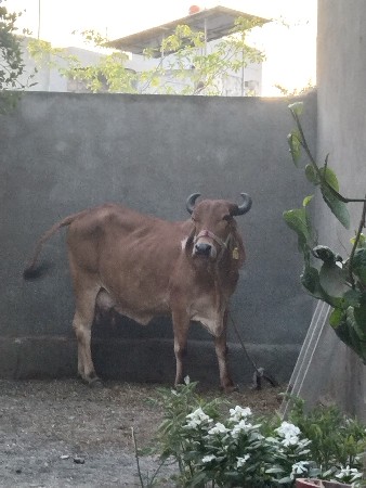 थंबनेल 2