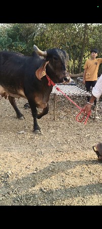 थंबनेल 2