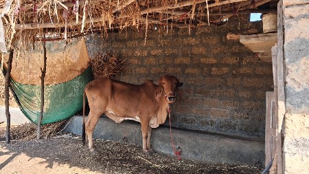 थंबनेल 3