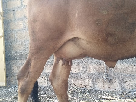 थंबनेल 2